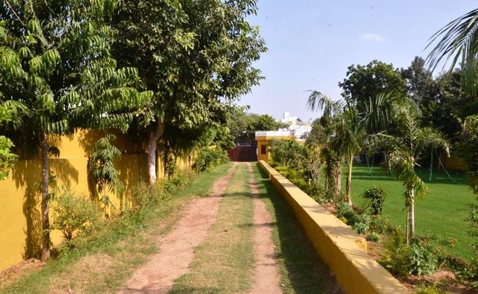 Hotel Tiger Regency Resort Sawai Madhopur Ngoại thất bức ảnh